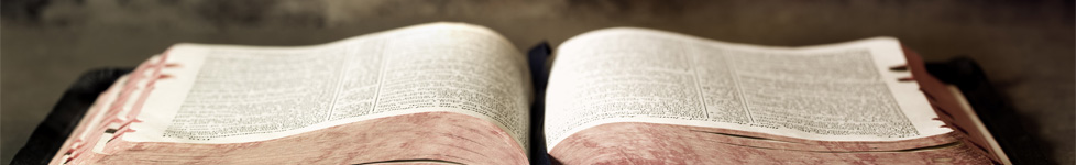 The Bible and False Doctrine